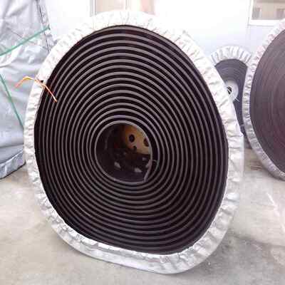 Flat Flex Conveyor Belt Pattern Type OEM Customizable Modular Conveyor System Components